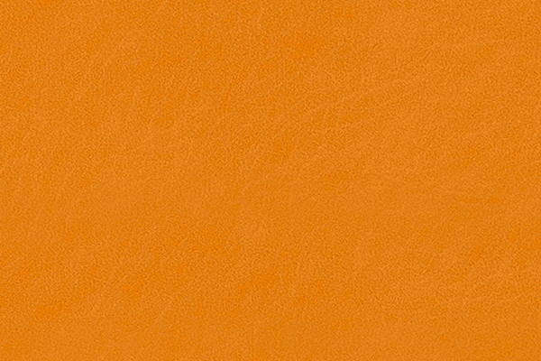 Mango Mango