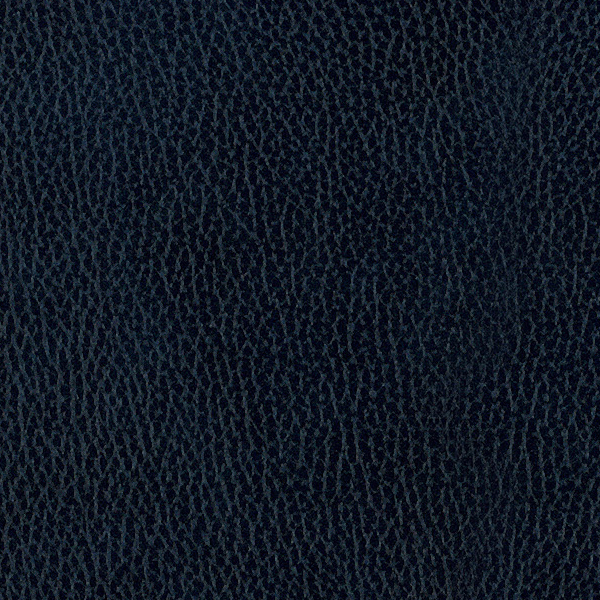 Blu scuro Blu scuro