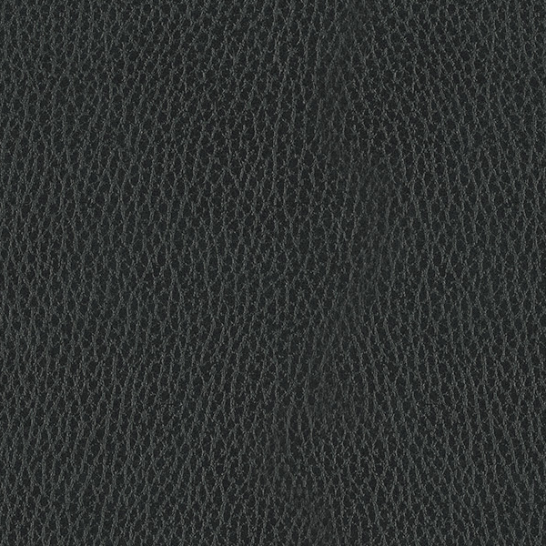 Grigio scuro Grigio scuro