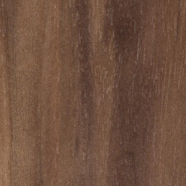 Woodpecker Walnut Woodpecker Walnut